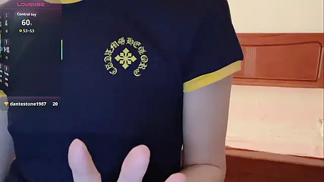Linda-LL webcam