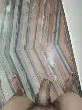 BiggDse webcam
