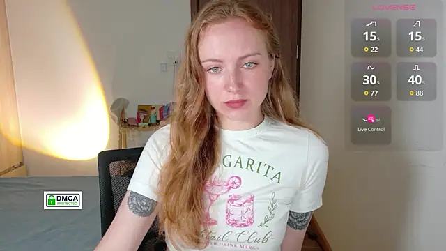 RedFires webcam