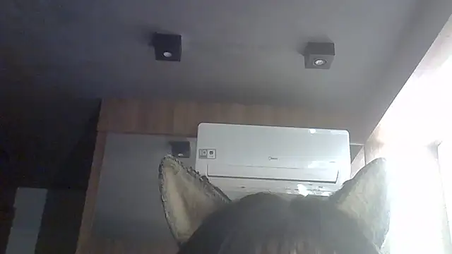 SkinnyKitten webcam