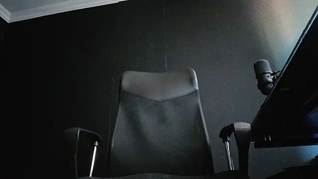 FelixStarkk webcam