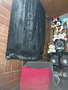 Alexandrina webcam