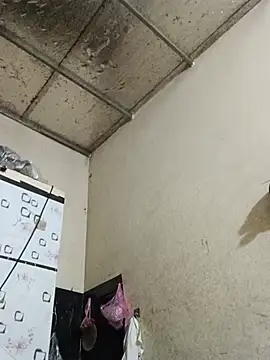Sana-vn webcam