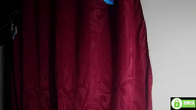 StarElii webcam