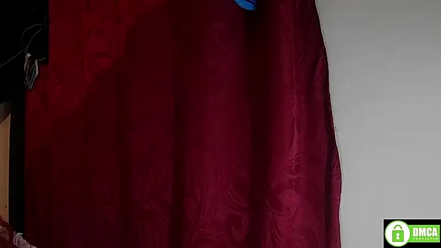 StarElii webcam