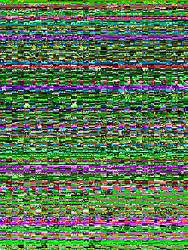 Amandious webcam
