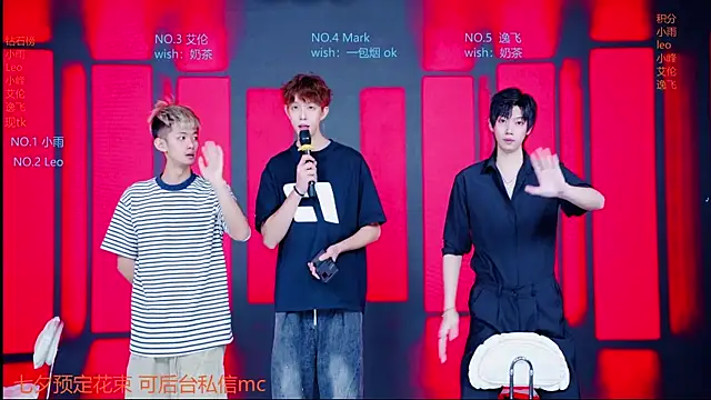 AAA-winner webcam