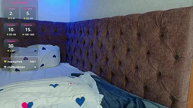 Aeries_steel_ webcam