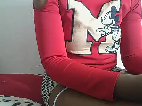 Mdivashan webcam