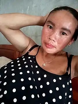 _Lynk_ webcam