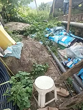 diana_jj webcam
