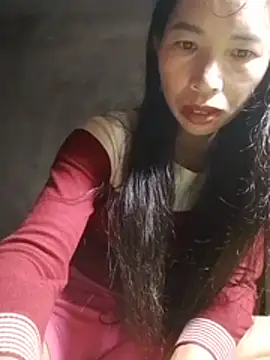 Tho-bibi webcam