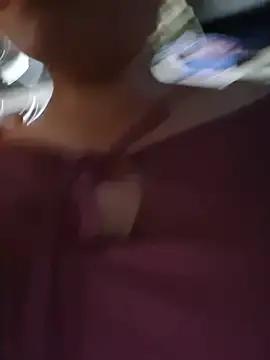 on2008 webcam