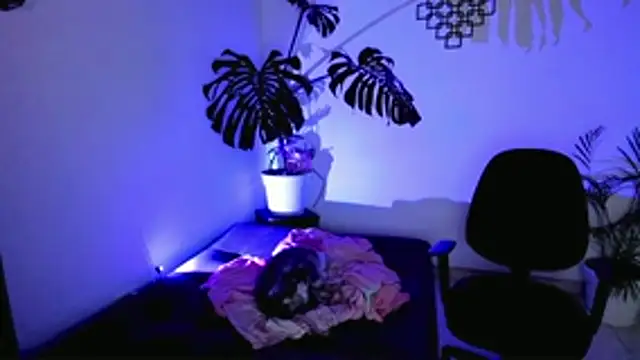 linda_zaam83866 webcam