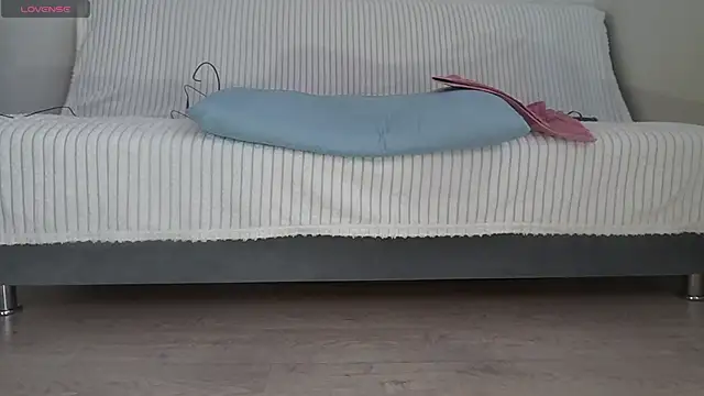 Fecvht45 webcam