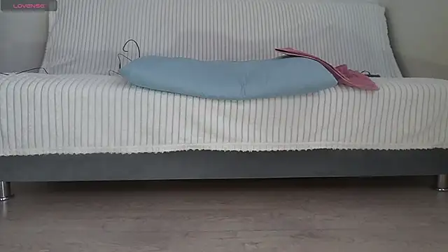 Fecvht45 webcam