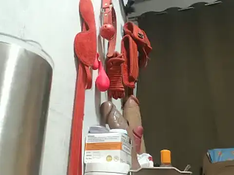 30cmHORSECOCKSELFSUCKER webcam