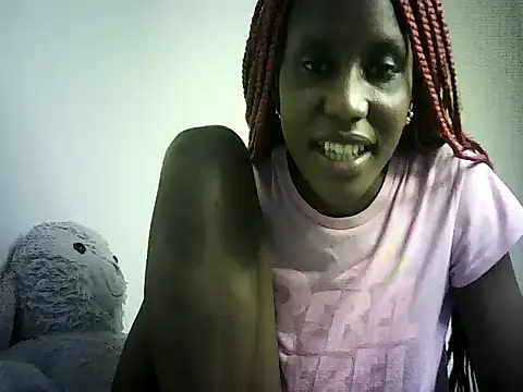 DelteAfriq webcam