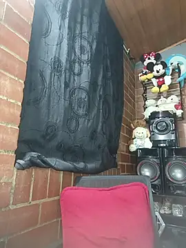 Alexandrina webcam