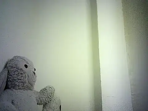 DelteAfriq webcam