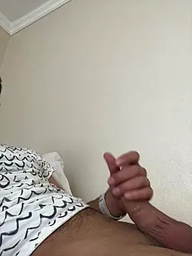 Sikici17cm555 webcam