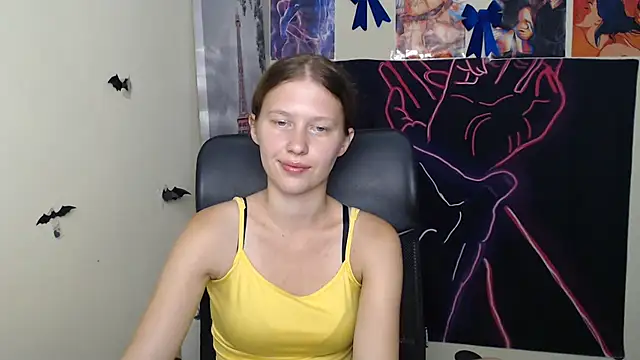 StellaCRL webcam