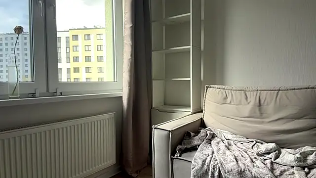 art_object webcam