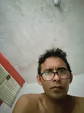 VL25DN26 webcam