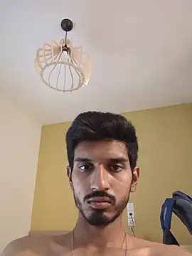 detestelavie webcam