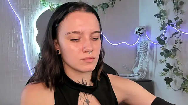 Elastikisss webcam