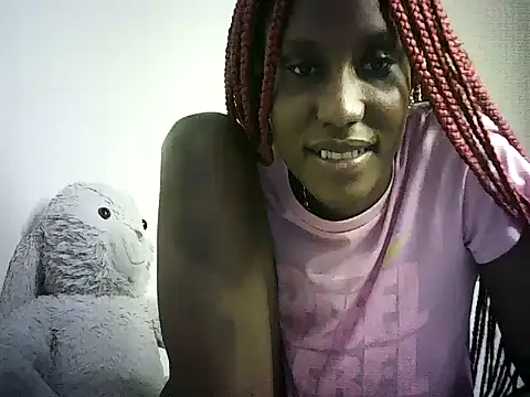 DelteAfriq webcam