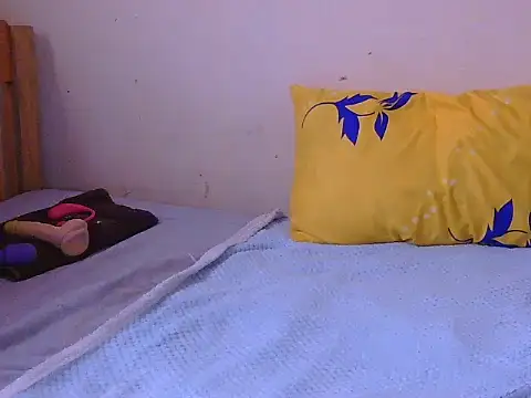 Divi2ne webcam
