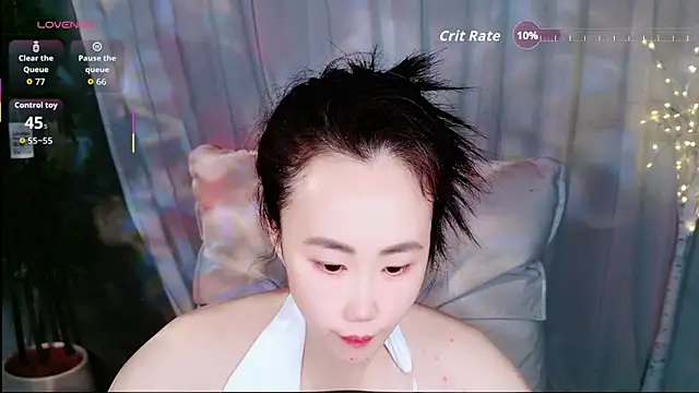 Dolpin_ webcam