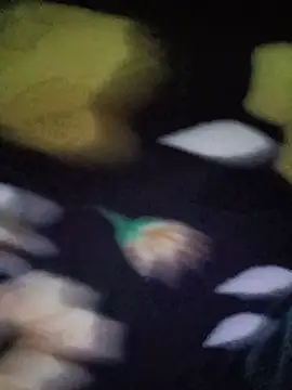 cake2001 live cam on StripChat