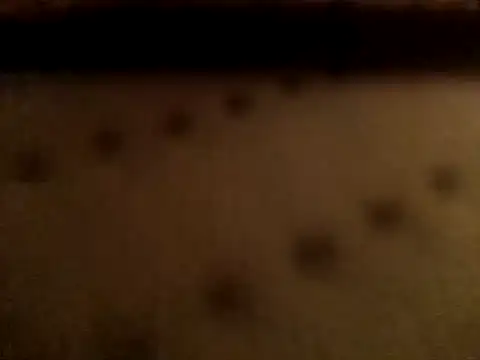 Colmmcx webcam