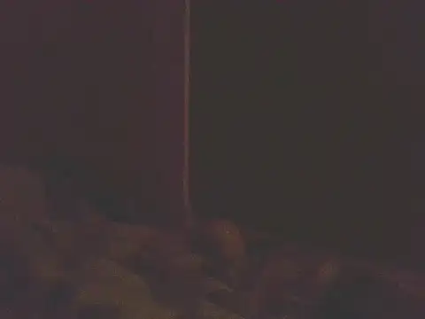 johan70sexy webcam