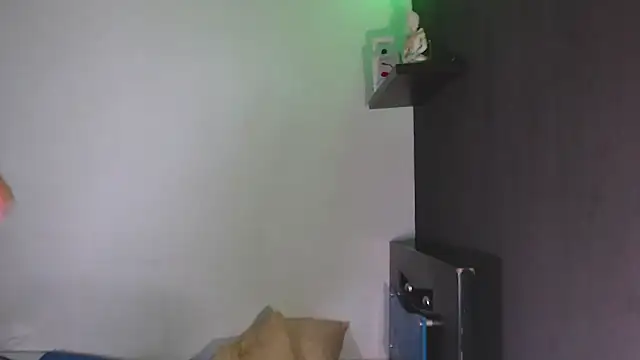 SusanLeroy webcam