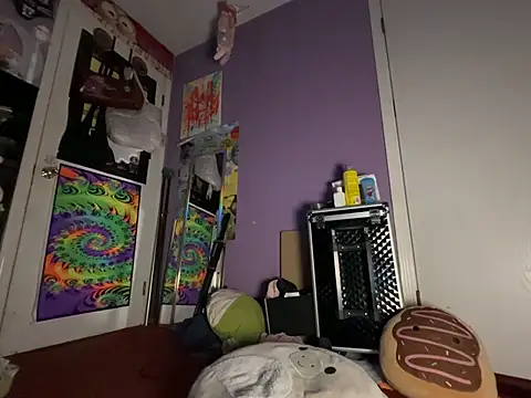 saidyl webcam