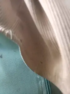 nangmo webcam