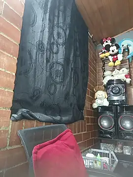 Alexandrina webcam