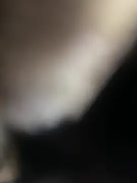 Majorcumlive webcam