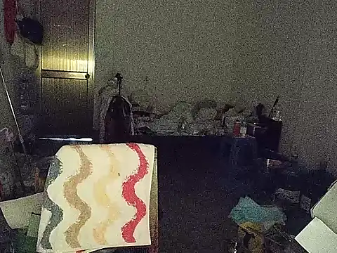 RebelAura webcam
