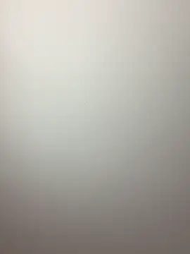 BambiKitty webcam