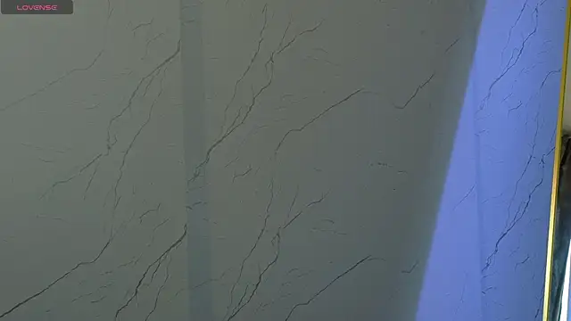 sasha_lst webcam