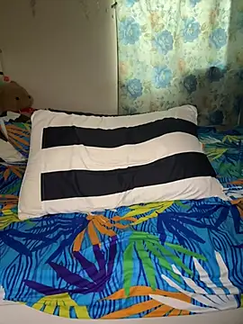 Shinhalakolla webcam