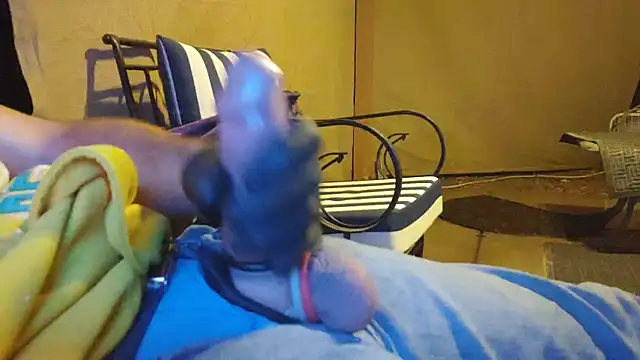 PNWbwc webcam