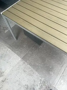 gryzoon webcam
