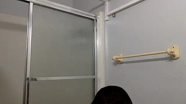 DREshots webcam
