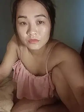 PIVI-12 webcam