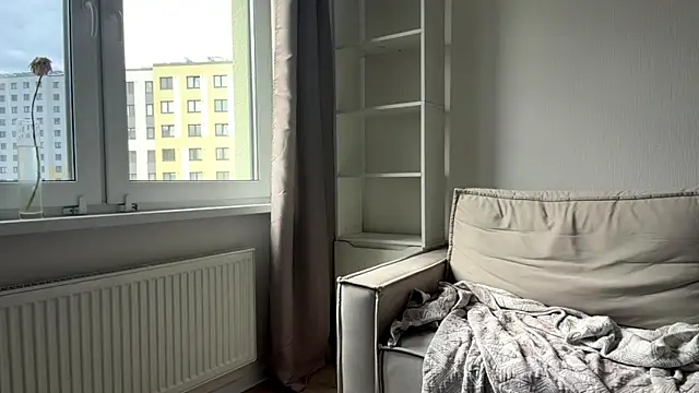 art_object webcam